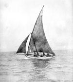 A felucca with brown, tanbarked sails under way on San Francisco Bay, with an unusually large crew of four. B7.14019p.