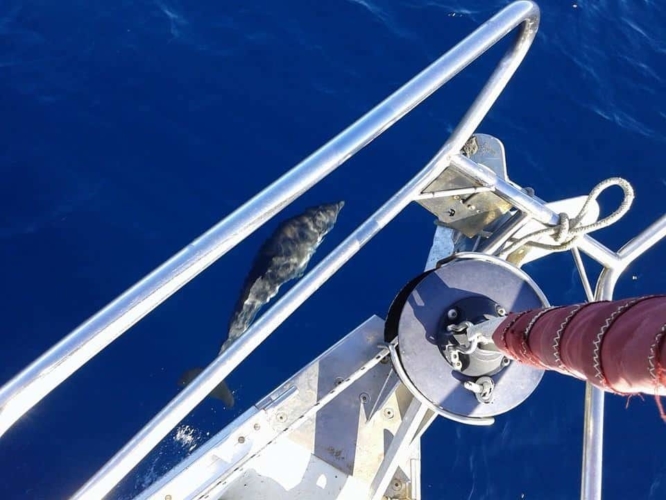 01-halkidiki-sailing-beneteau-393-external-12