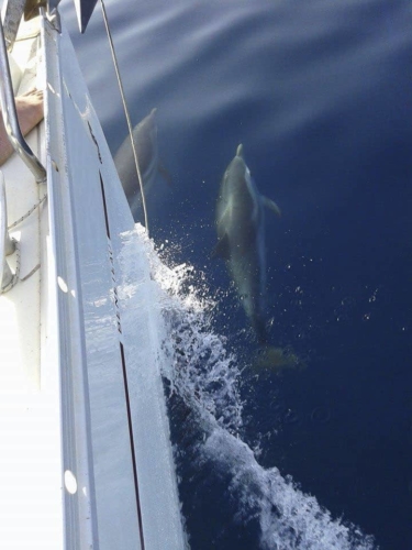 skiathos-sailing-beneteau-393-holidays-02