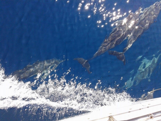 skiathos-sailing-beneteau-393-holidays-06