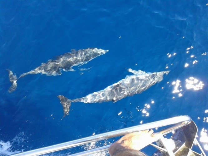 skiathos-sailing-beneteau-393-holidays-08